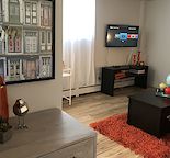 Large, Furnished and Renovated One bedroom in Lower Scarboro