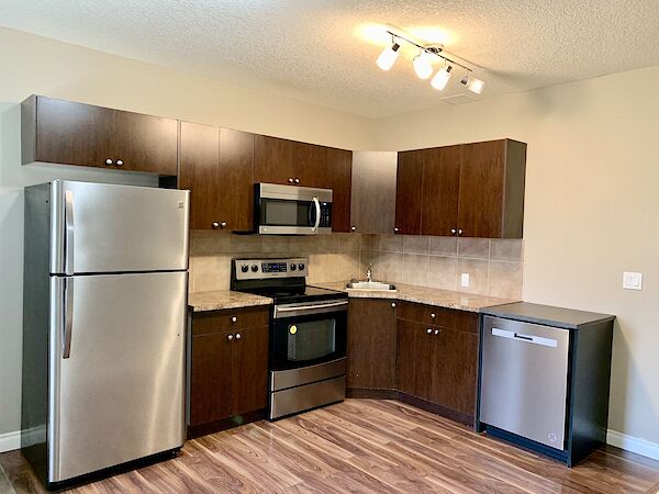 Executive Legal Basement Suite in Kincora