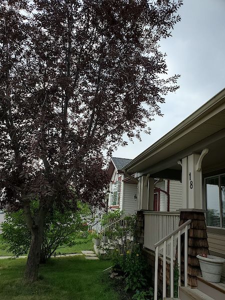 Calgary 2 bedrooms House for rent. Property photo: 113093-3