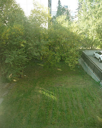 Calgary 4 bedrooms House for rent. Property photo: 114909-3