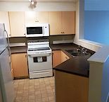 Clean modern 2brm / 2 4pce baths, gas fp, includes ALL utils, 1 heated parking!