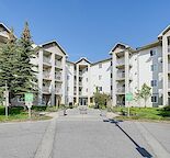 1 BEDROOM / 1 BATHROOM ---- ELLISTON PARK (Utilities Include in rent)