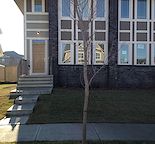 Home 3 BRM; 3.5 Bath ; Living and Family room