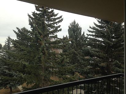 Calgary 2 bedrooms Apartment for rent. Property photo: 116951-3