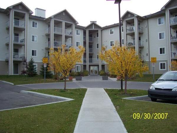 Calgary 1 + Den bedrooms Condo Unit for rent. Property photo: 11823-1