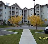1 bedroom + den condo for rent