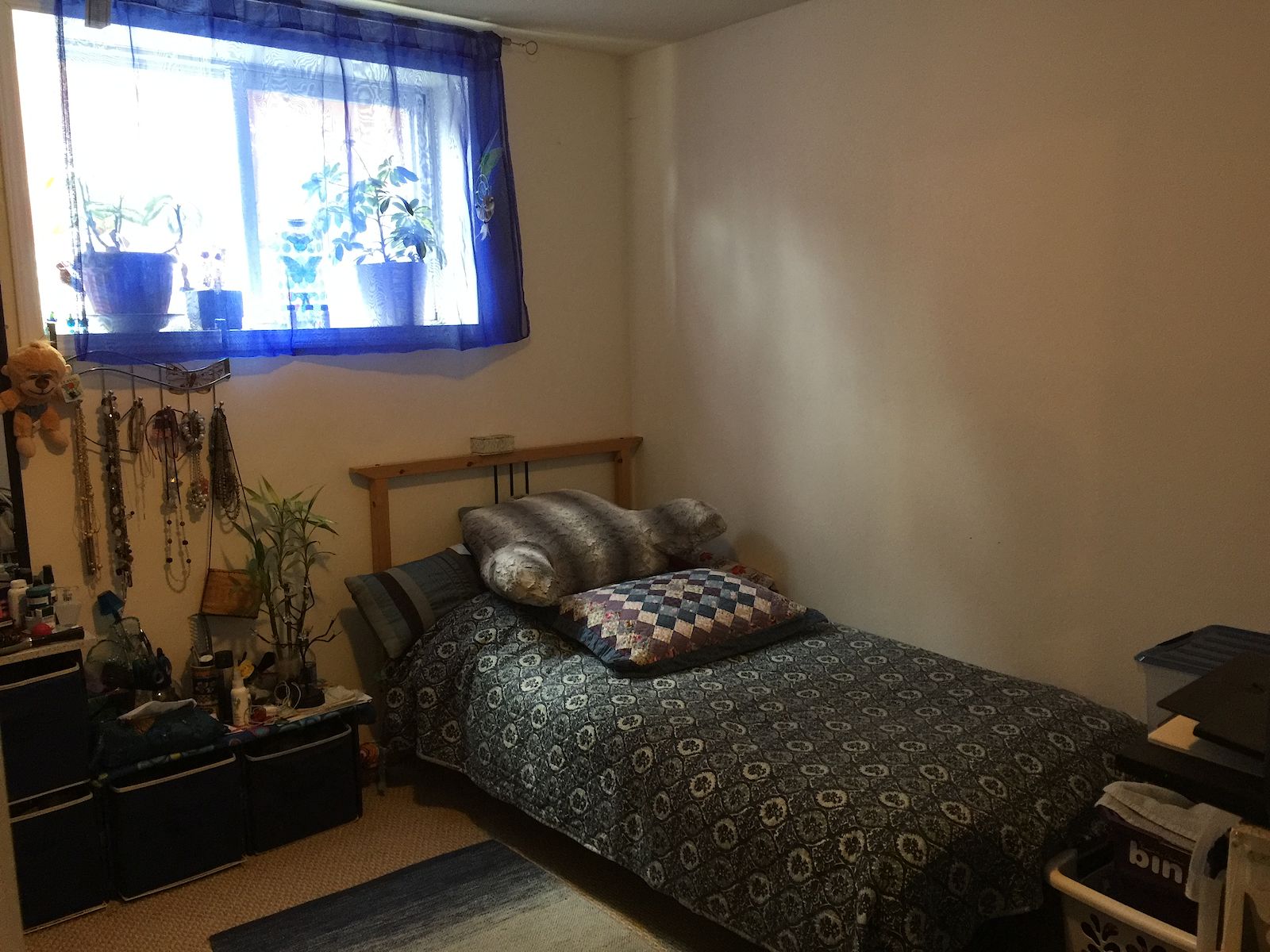 Calgary 3 bedrooms Basement for rent. Property photo: 122244-1