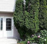 Newly renovated 4 bedroom  town house in marlborogh