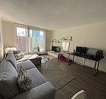 BRIGHT AND SUNNY 1-BEDROOM - CLOSE TO DOWNTOWN! PETS WELCOME!