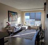 Beautiful Haysboro Condo