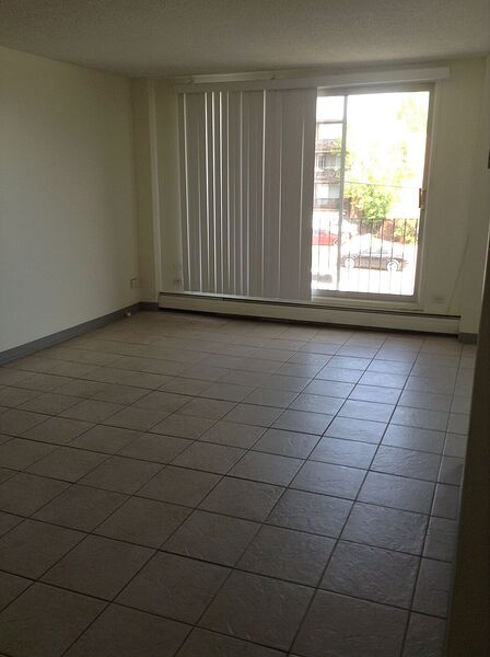 Calgary 1 bedroom Apartment for rent. Property photo: 126942-3