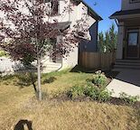 2 Bed Room Basement for Rent in Silverado