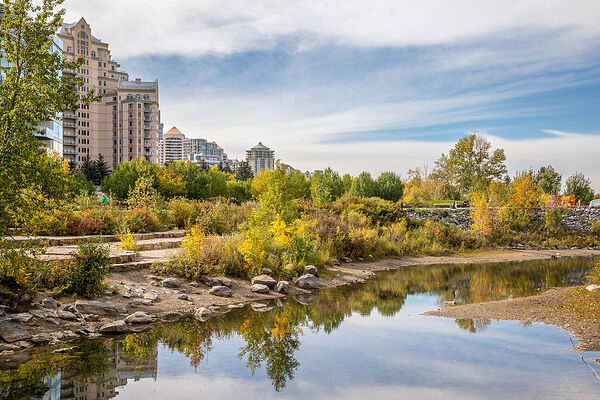Calgary 1 bedroom Apartment for rent. Property photo: 132584-3