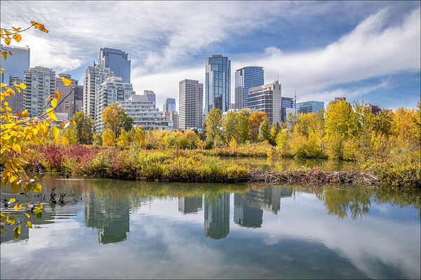 Calgary 1 bedroom Apartment for rent. Property photo: 132584-2