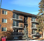 Spacious One Bedroom in Beautiful Sunnyside
