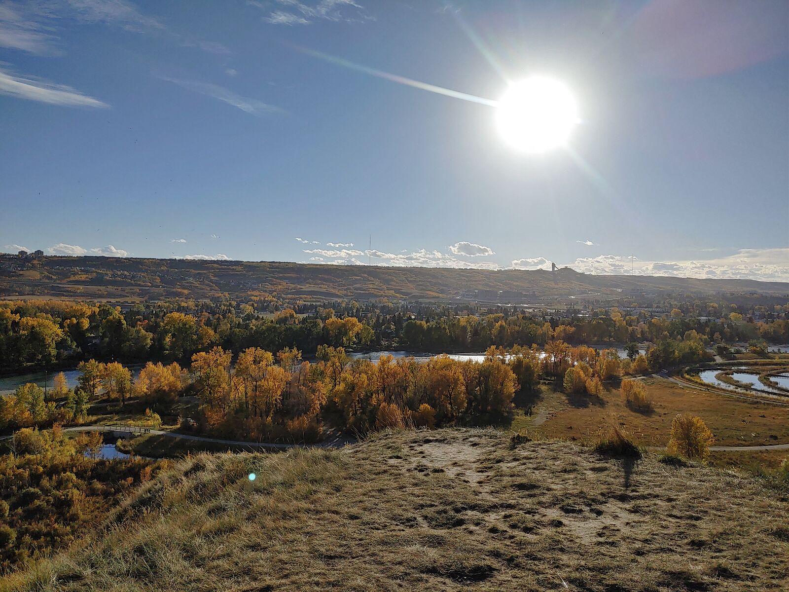 Calgary 1 bedroom Condo Unit for rent. Property photo: 135765-1