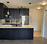 Freshly renovated quiet top floor, One bedroom condo (facing inner courtyard)