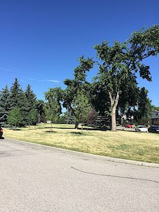 Calgary 2 bedrooms Main Floor for rent. Property photo: 138294-3