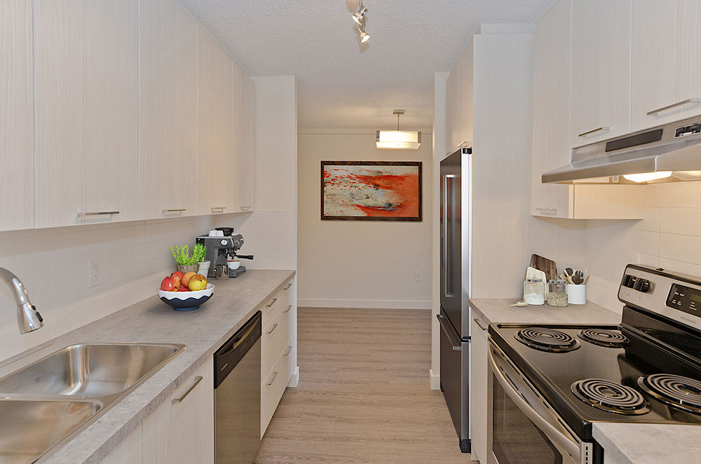Calgary 1 bedrooms Apartment for rent. Property photo: 19955-1