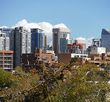 Awesome Location in Bankview: sunny 1 BR with hardwood floors