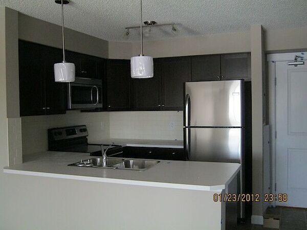 Edmonton 2 bedrooms Apartment for rent. Property photo: 282531-3