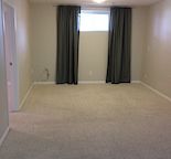 Bright , large 1 bedroom basement suite with storage and laundry!