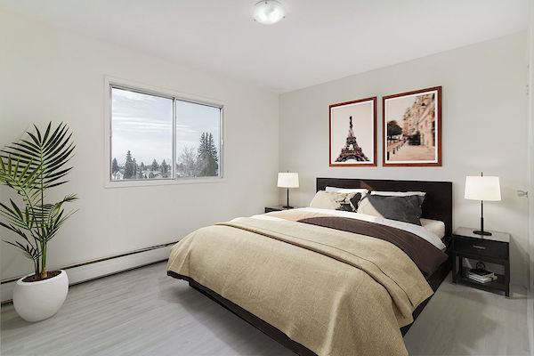 Edmonton 1 bedrooms Apartment for rent. Property photo: 288654-3