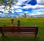 BEAUTIFUL MAIN FLOOR SUITE IN RENFREW (DOG FRIENDLY)