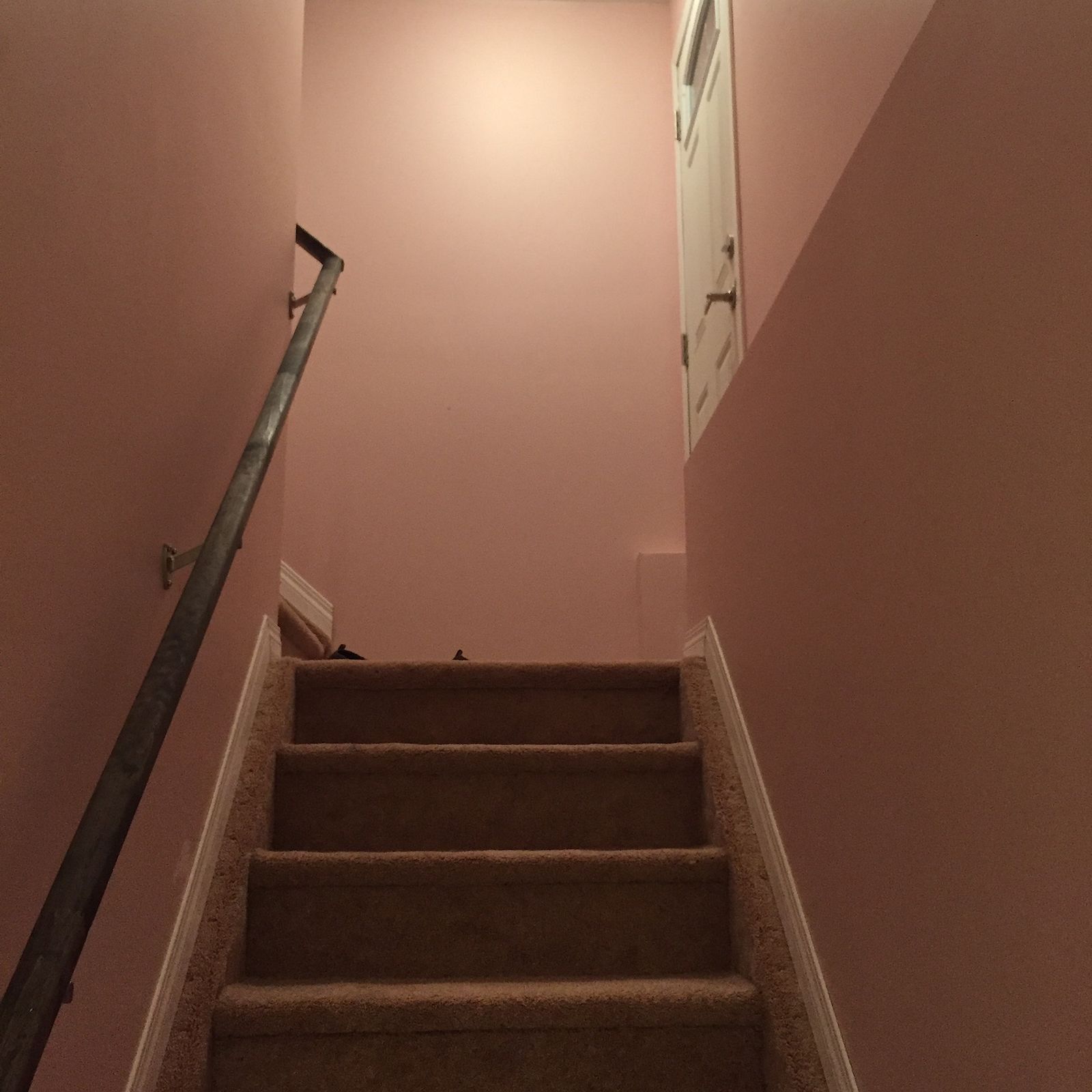 Calgary 2 bedrooms Basement for rent. Property photo: 291371-1