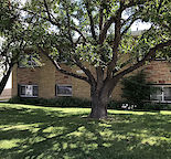 Large 1 Bedroom in PET FRIENDLY Boutique Building