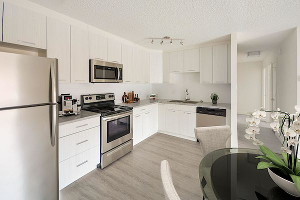 Regina 1 bedrooms Apartment for rent. Property photo: 301383-3