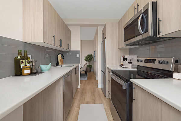 Hamilton 2 bedrooms Apartment for rent. Property photo: 303975-2