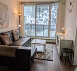 Cozy 2-bedroom fully furnished condo/apartment Downtown/East village