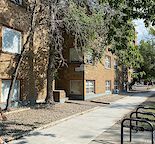 1 Bedroom Steps Away from 17th Ave — Cliff Bungalow, Calgary
