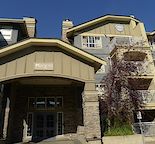Lincoln Park - One Bedroom + Den Condo