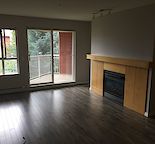 Large one bedroom plus den condo in Lincoln Park