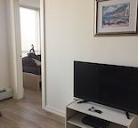 Furnished 2 Bedroom New Condo East Village  Available August 8