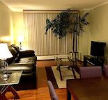 Fully Furnished 2 Bedroom & 1 Bath Condo in the Heart of Downtown