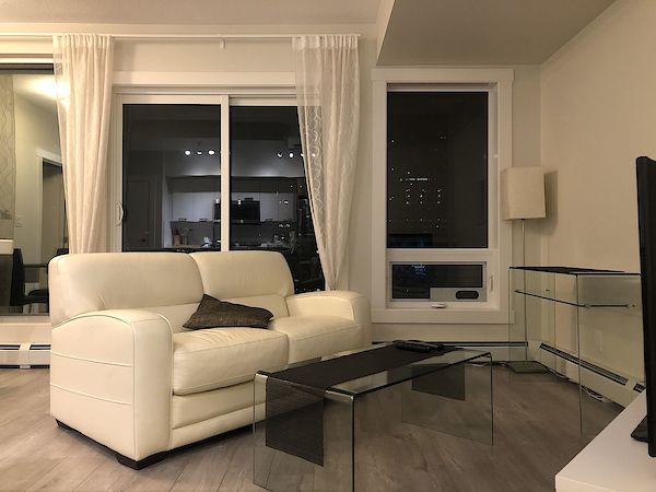 Fully Furnished One Bedroom Condo in the Ice District (Fox Two tower)