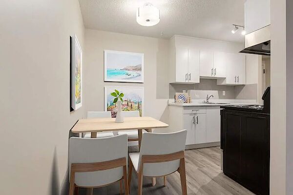 Medicine Hat 2 bedrooms Apartment for rent. Property photo: 334282-2