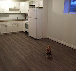 Recently renovated 1 Bedroom + Den Suite with fenced yard and add'l storage