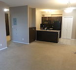 Clean modern 1brm + den  / 1 bath, 1 heated parking, gym, small pet OK no fee!