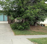 Convenience Super Clean Family Home in Beddington