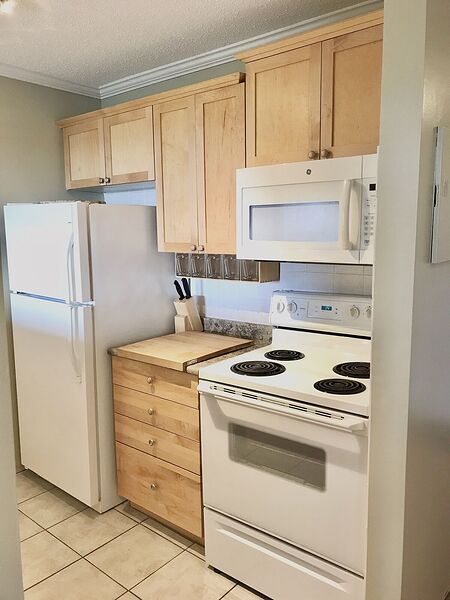 Calgary studio Apartment for rent. Property photo: 346798-3