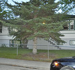 West Hillhurst N.W. STUDIO Apartment.  Totally Renovated, Large Bright Windows.
