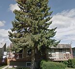 Lower level in Duplex_ 2 Bed+Den in Dalhousie, NW, Calgary