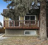 Duplex_ Lower level, 2 Bed+Den- NW, Calgary — Dalhousie, Calgary
