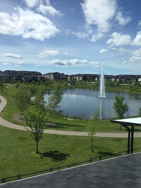 Calgary 4 + Den bedrooms House for rent. Property photo: 361229-2