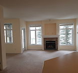 1 Bedroom + Den
