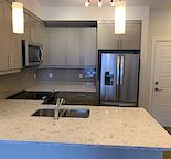 Gorgeous Downtown & Mountain view 1 bedroom condo